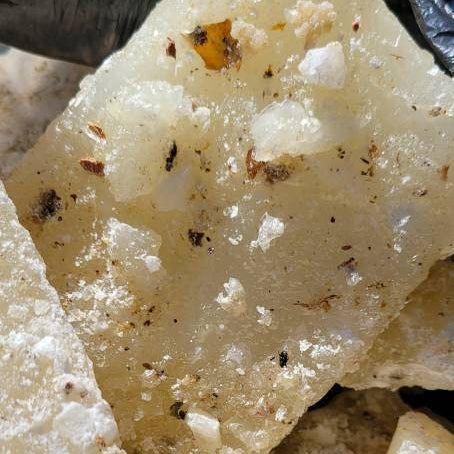 Grade A White Copal Resin from Mexico 1oz