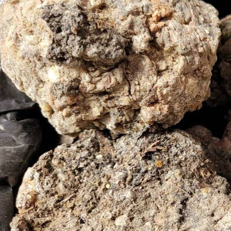 Black Mexican Copal Resin 1 oz