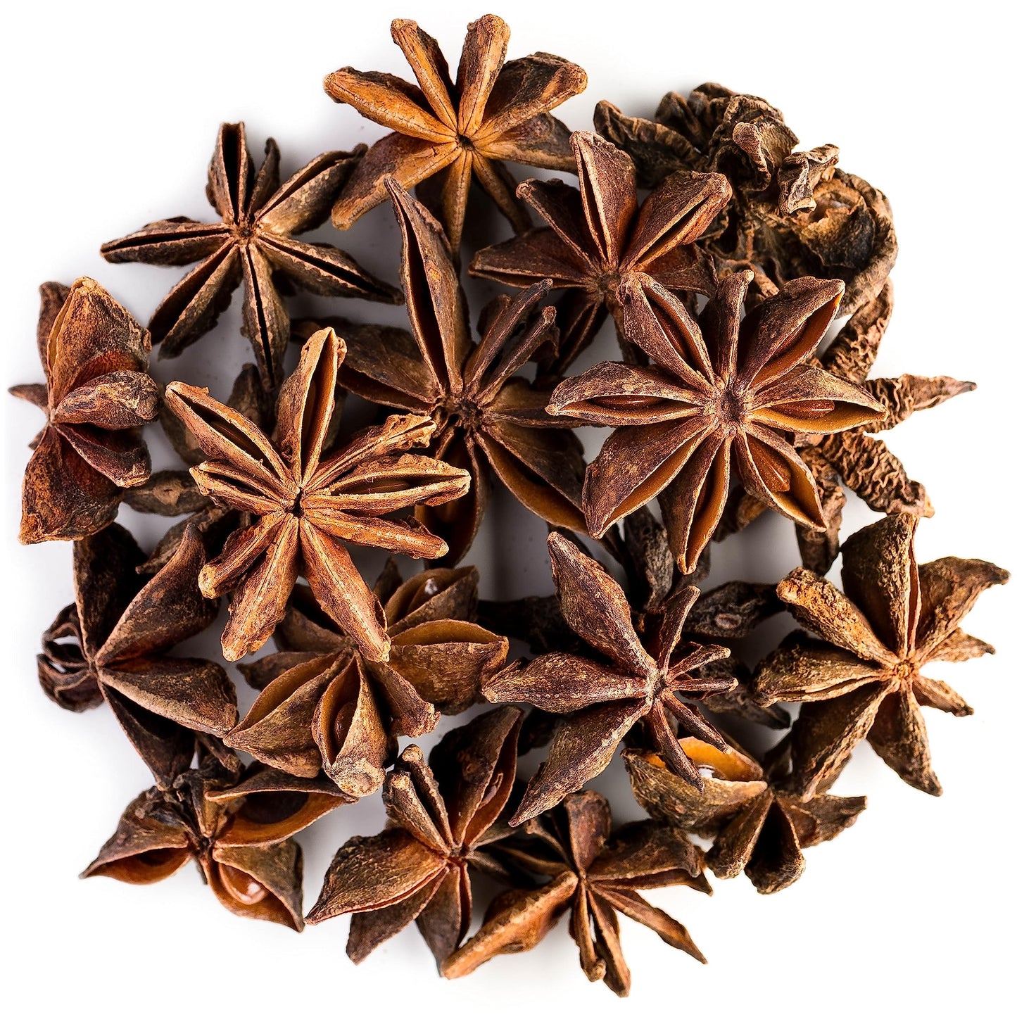 Anise – Whole Star