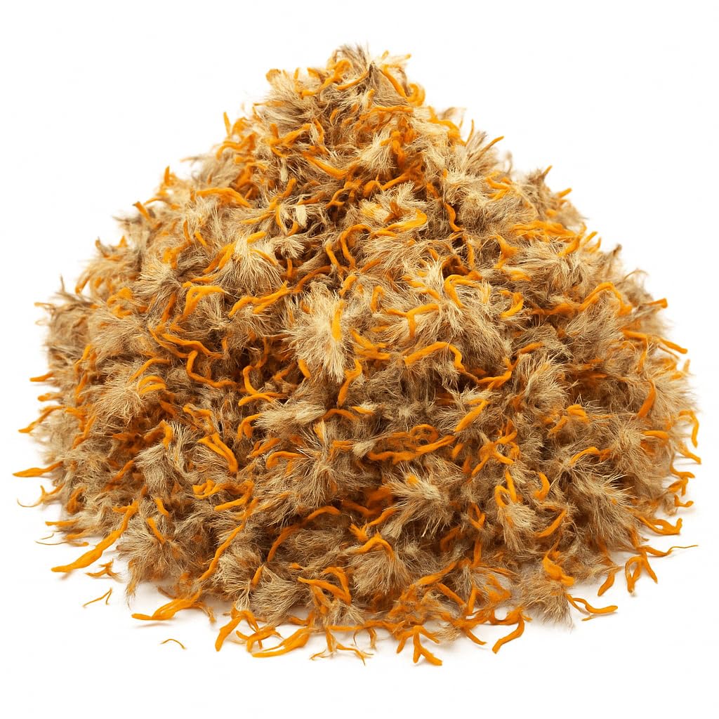 Arnica