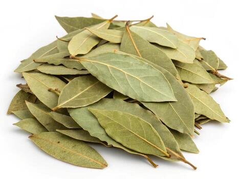 Bay Leave