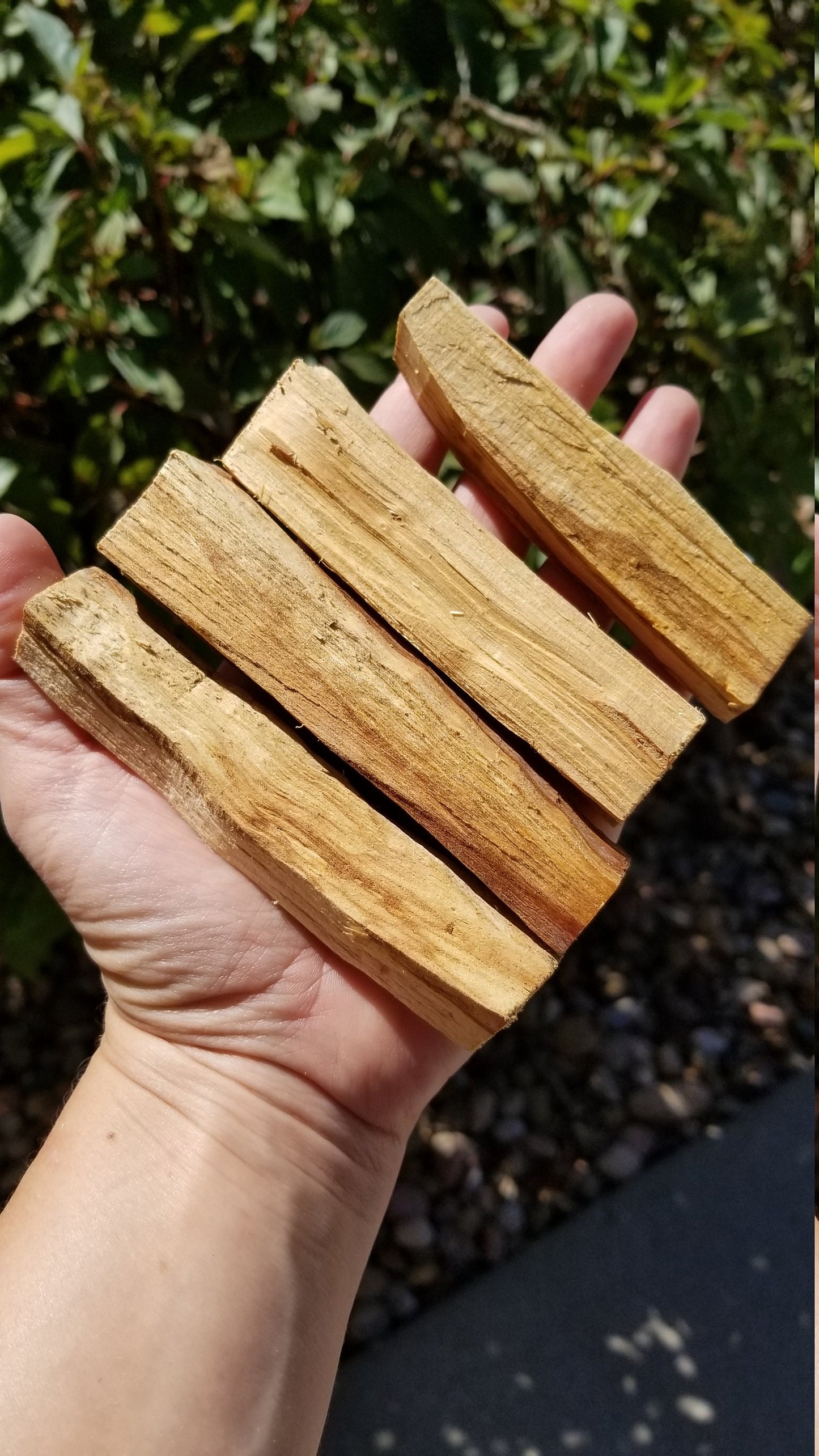 Grade-A Palo Santo  - Palo Santo Sticks - Palo Santo Wood - Grounding - Crystal Cleansing tool - Smudge - Mediation - 4"