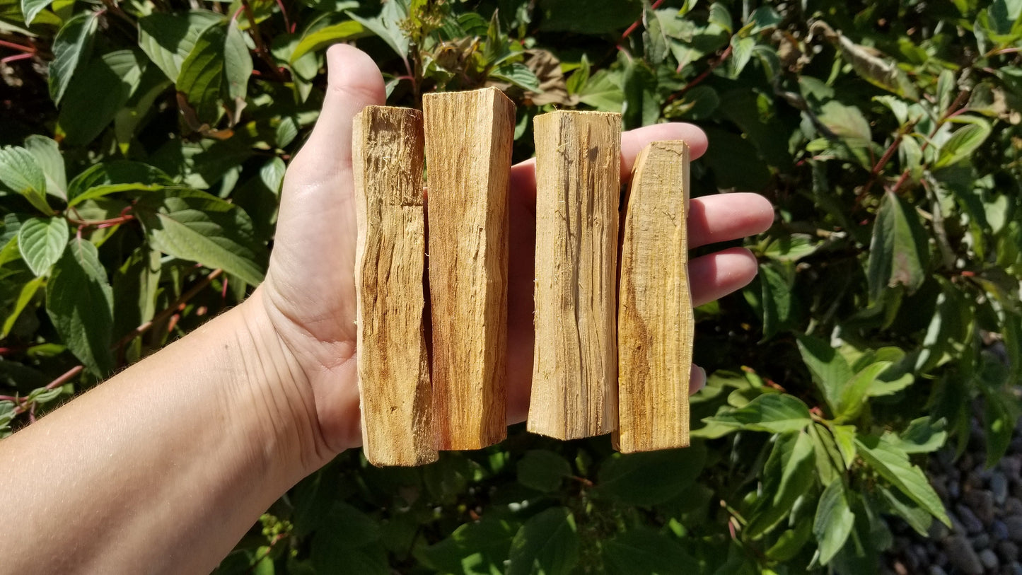 Grade-A Palo Santo  - Palo Santo Sticks - Palo Santo Wood - Grounding - Crystal Cleansing tool - Smudge - Mediation - 4"