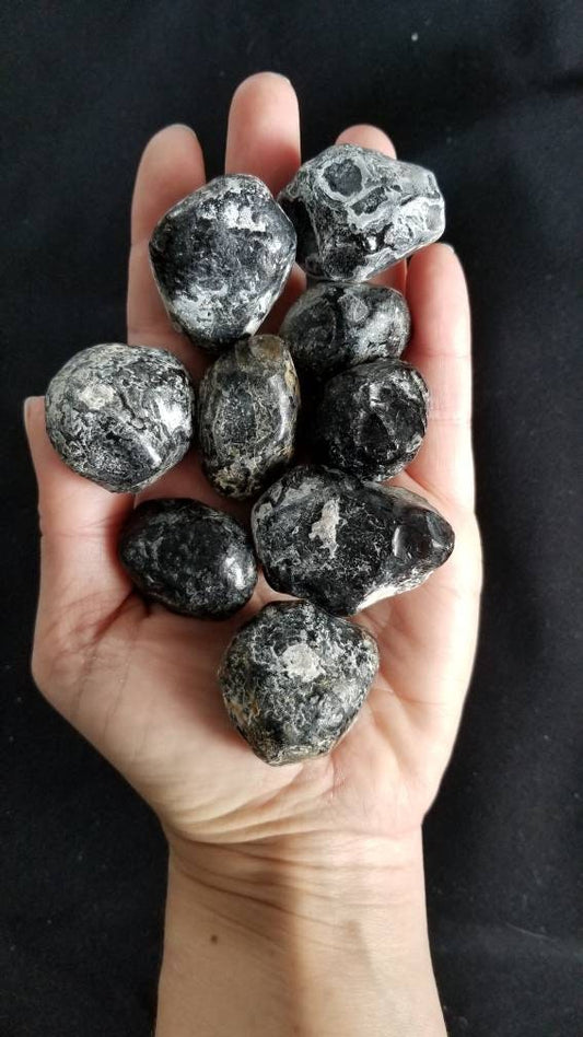 Extra Large Apache Tear Drops Rough Raw Unpolished but same Mineral as Obsidian just Formed in another way Very Grounding & Powerful Energy