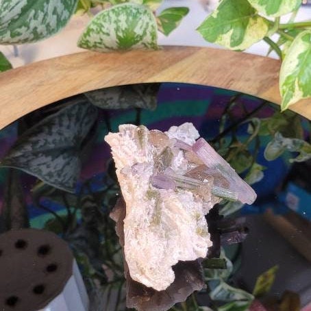 RARE Watermelon Tourmaline beautiful Crystal collectors Specimen from Pakistan