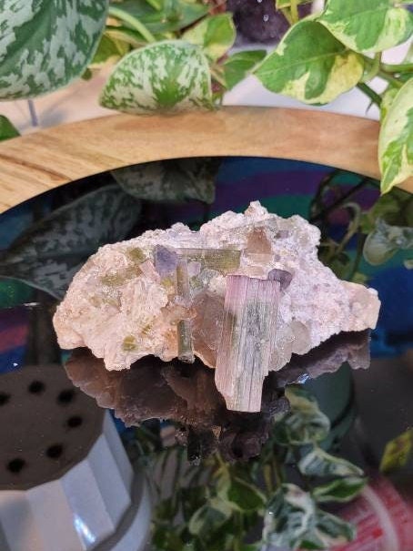 RARE Watermelon Tourmaline beautiful Crystal collectors Specimen from Pakistan