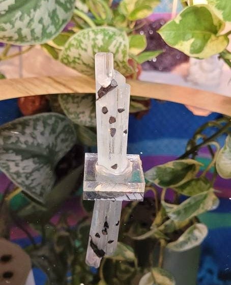 Aquamarine Mineral Specimen with Apatite from Pakistan * Show Piece * Collector Specimen * From Skardu Pakistan