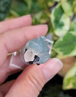 Aquamarine Mineral Specimen with Apatite from Pakistan * Show Piece * Collector Specimen * From Skardu Pakistan