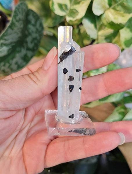 Aquamarine Mineral Specimen with Apatite from Pakistan * Show Piece * Collector Specimen * From Skardu Pakistan