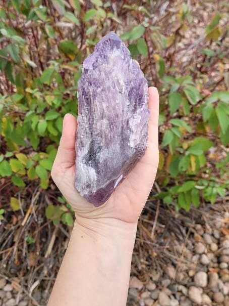 Amethyst Elestial Quartz Skeletal, Jacare or Crocodile Quartz just a few names