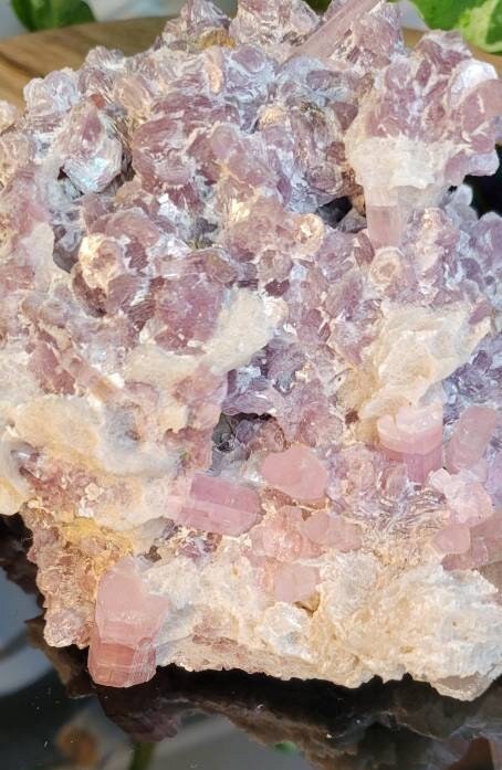 RARE Pink Tourmaline with Lepidoite from Pakistan Specimen