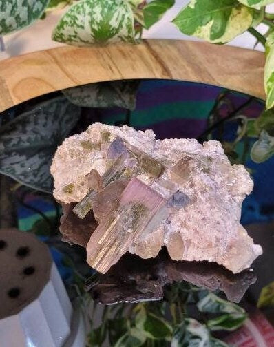 RARE Watermelon Tourmaline beautiful Crystal collectors Specimen from Pakistan