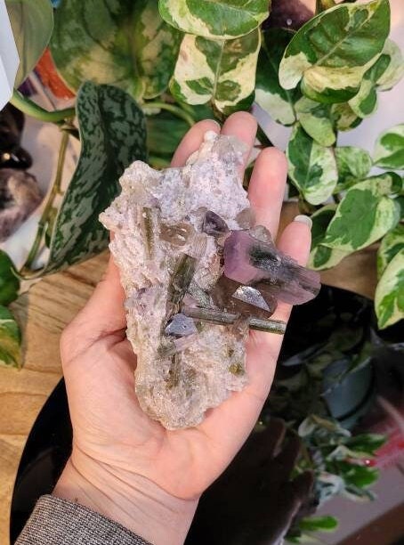 RARE Watermelon Tourmaline beautiful Crystal collectors Specimen from Pakistan