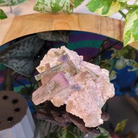 RARE Watermelon Tourmaline beautiful Crystal collectors Specimen from Pakistan