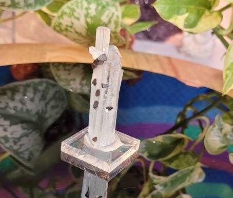 Aquamarine Mineral Specimen with Apatite from Pakistan * Show Piece * Collector Specimen * From Skardu Pakistan