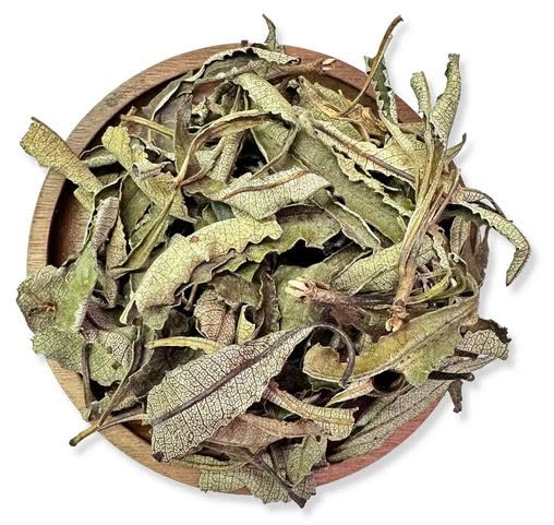 Yerba Santa Leaf